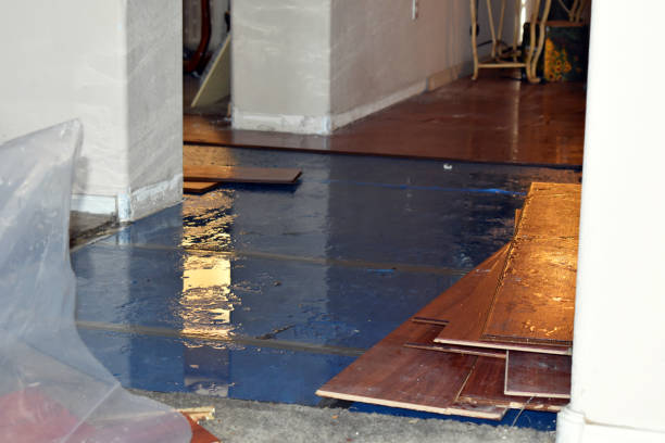 Professional Storm Water Damage Restoration technician working in Leipsic, OH